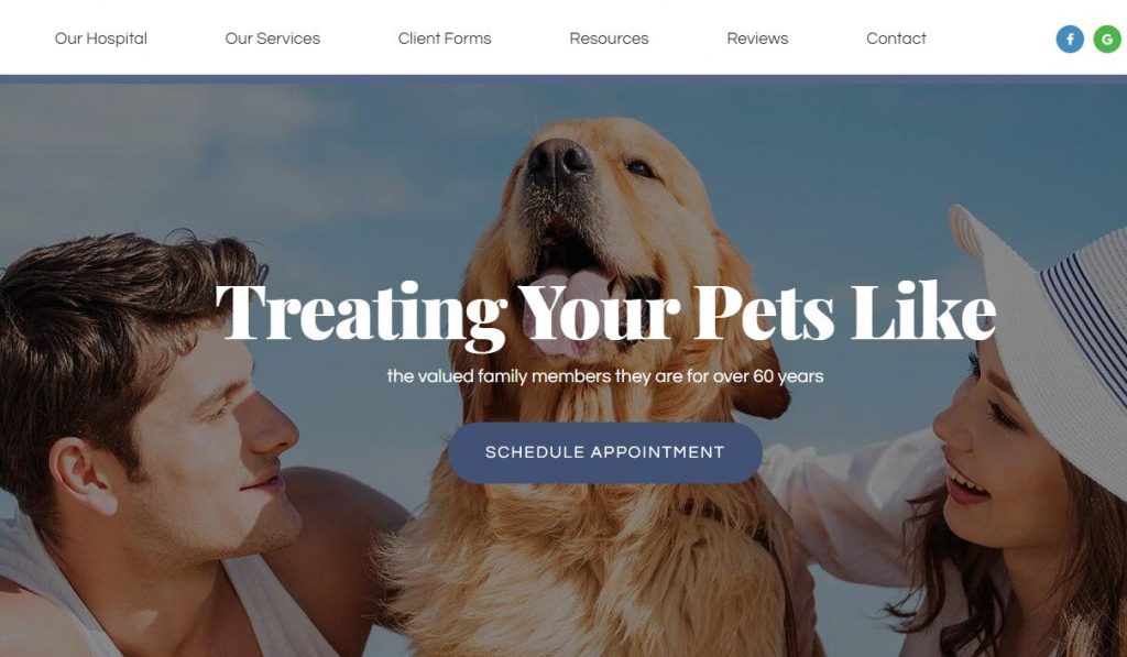 Animal Hospital Organization List | All Kinds of Directories List